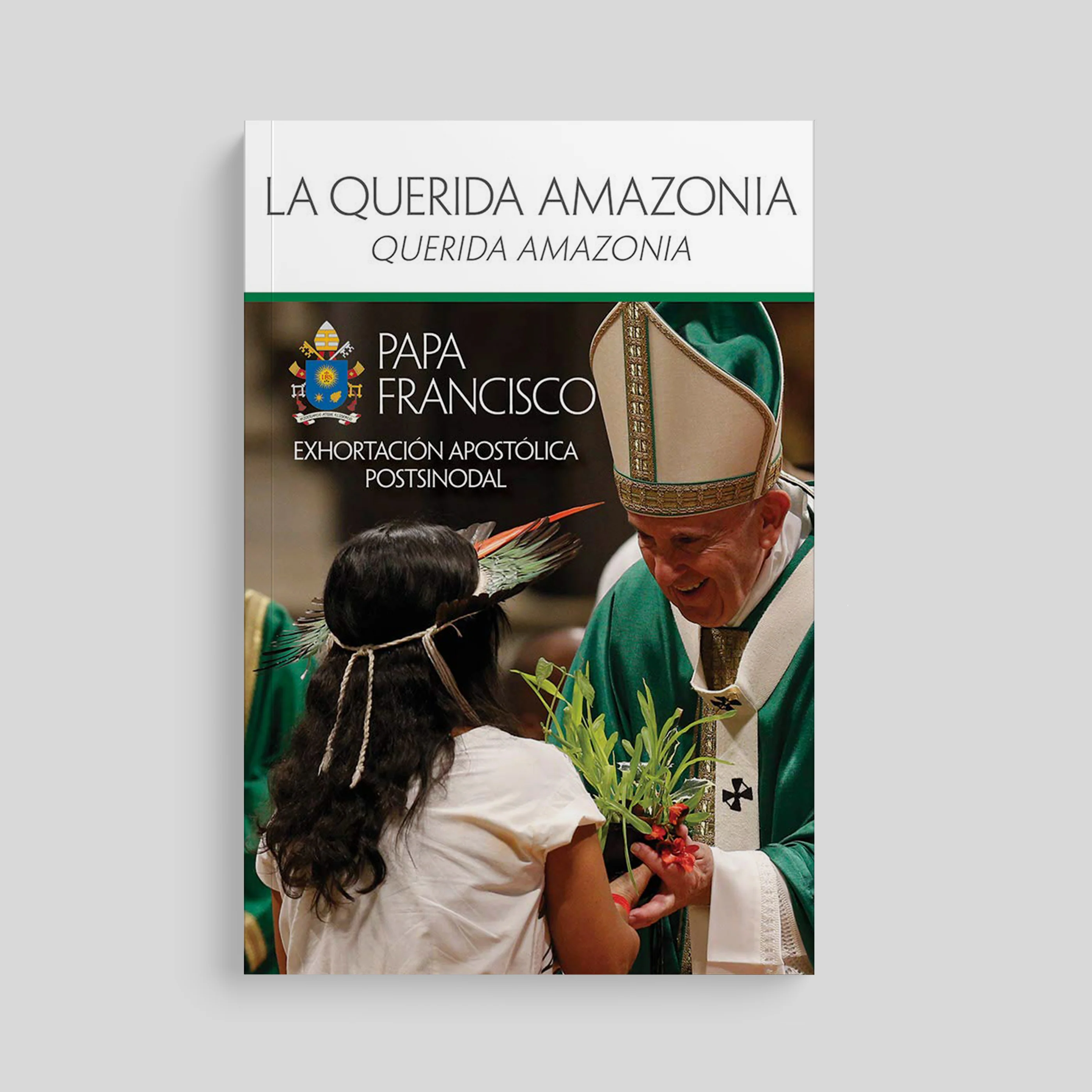 The Beloved Amazon (Querida Amazonia) - Image 5