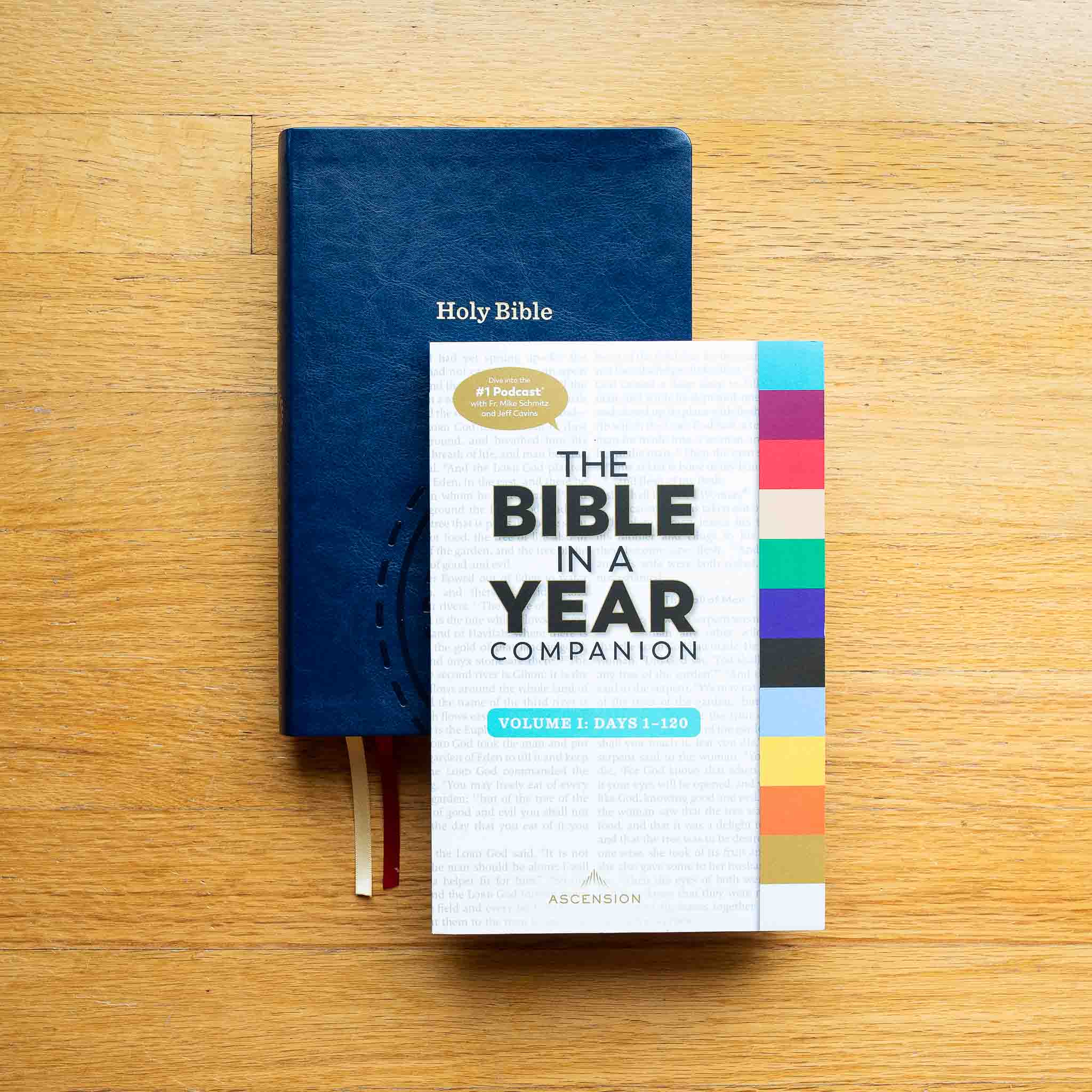 The Bible in a Year Companion, Volume I - Image 4