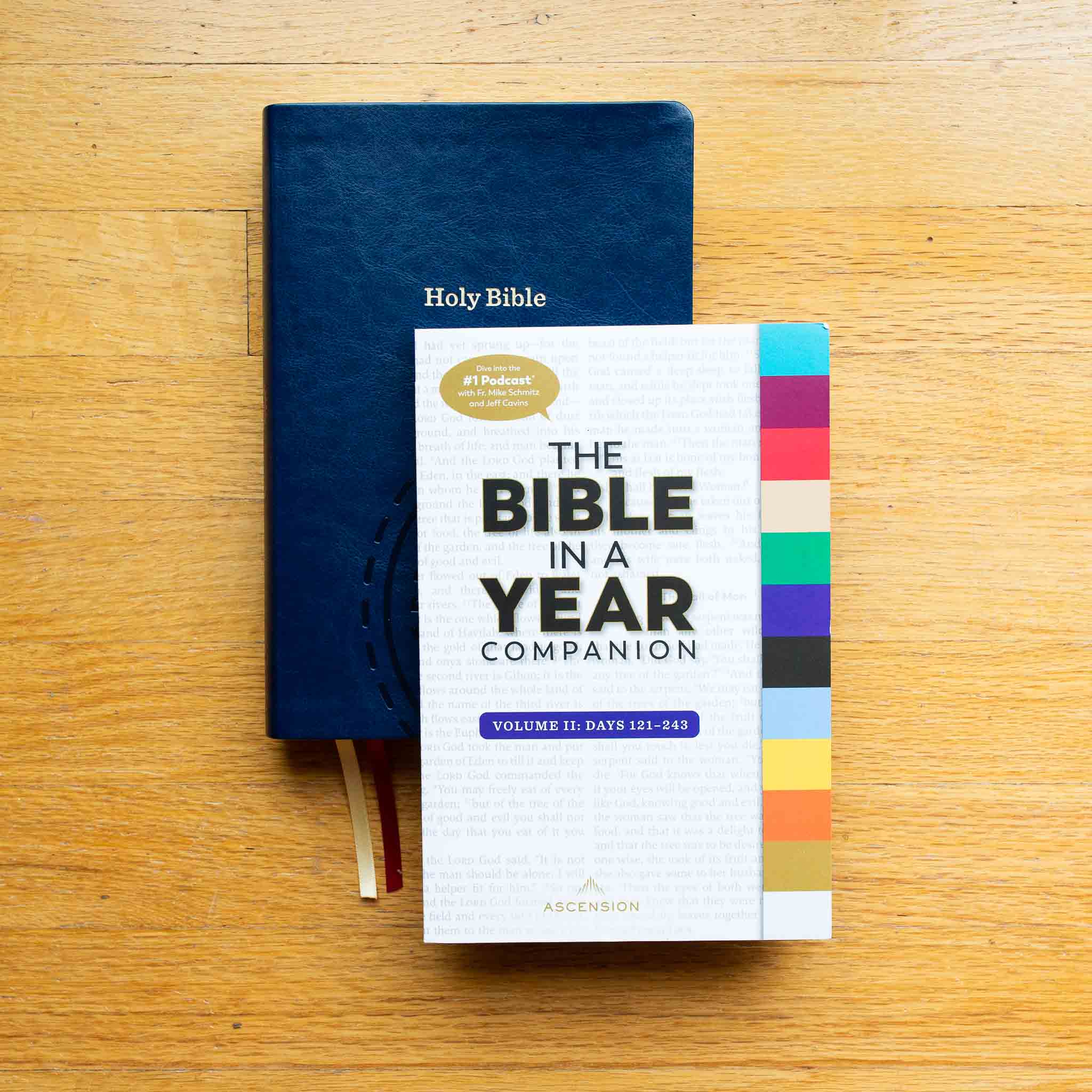 The Bible in a Year Companion, Volume II - Image 4