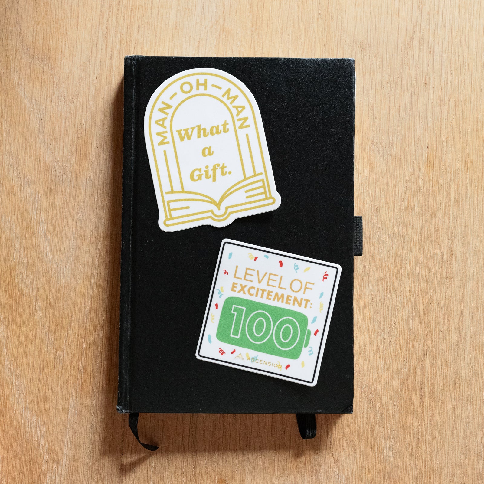 The Bible in a Year Sticker Pack - Image 8