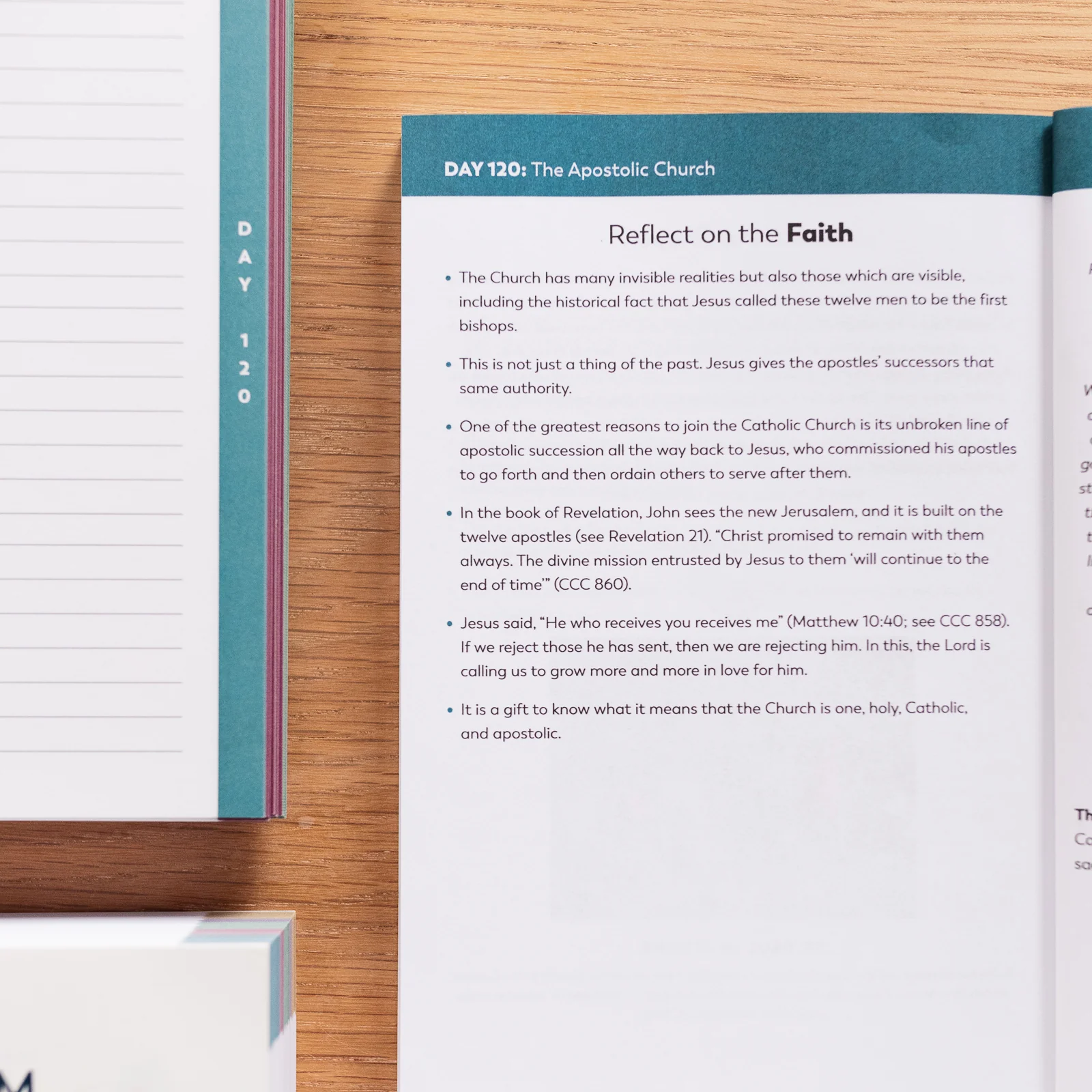 The Catechism in a Year Companion, Volume I - Image 5