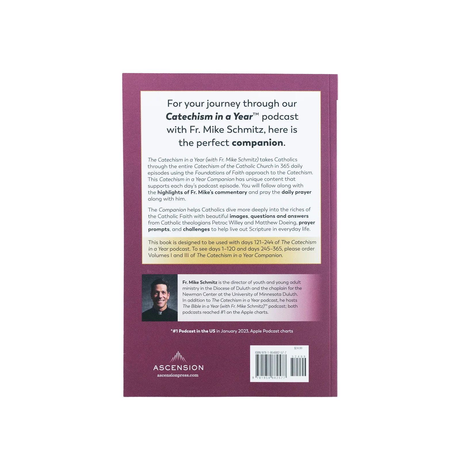 The Catechism in a Year Companion, Volume II - Image 5