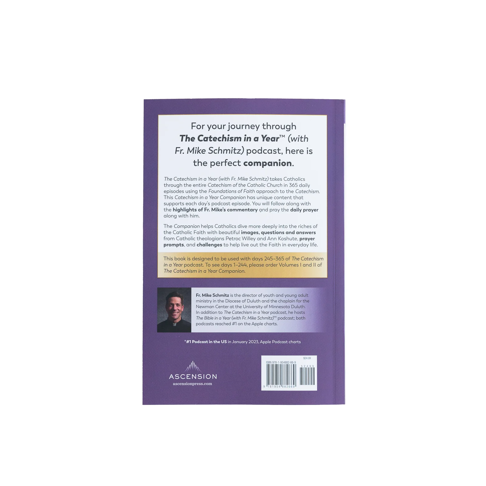 The Catechism in a Year Companion, Volume III - Image 4