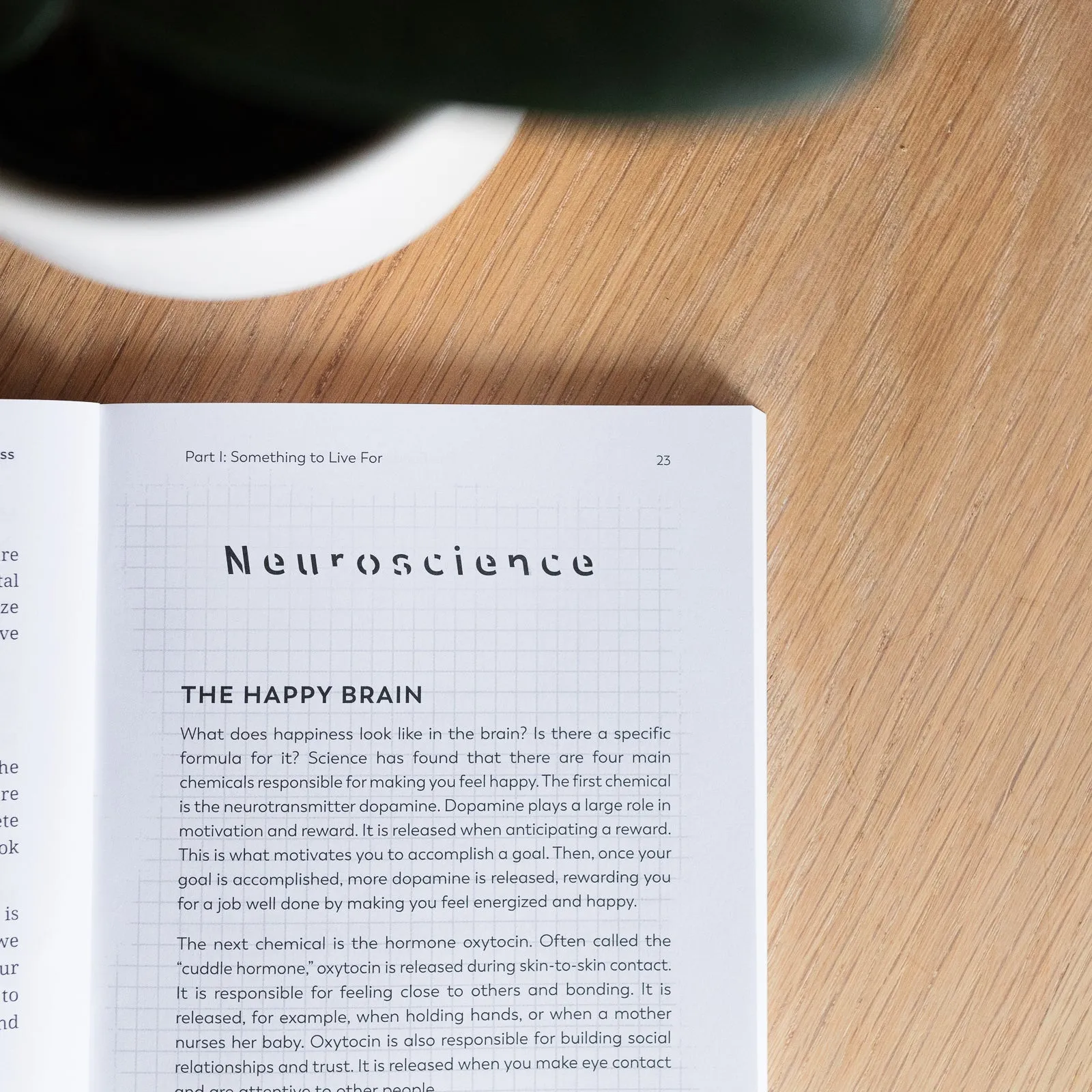 The Fundamental Theory of Happiness: How to Find Your Purpose and Be More Joyful - Image 5