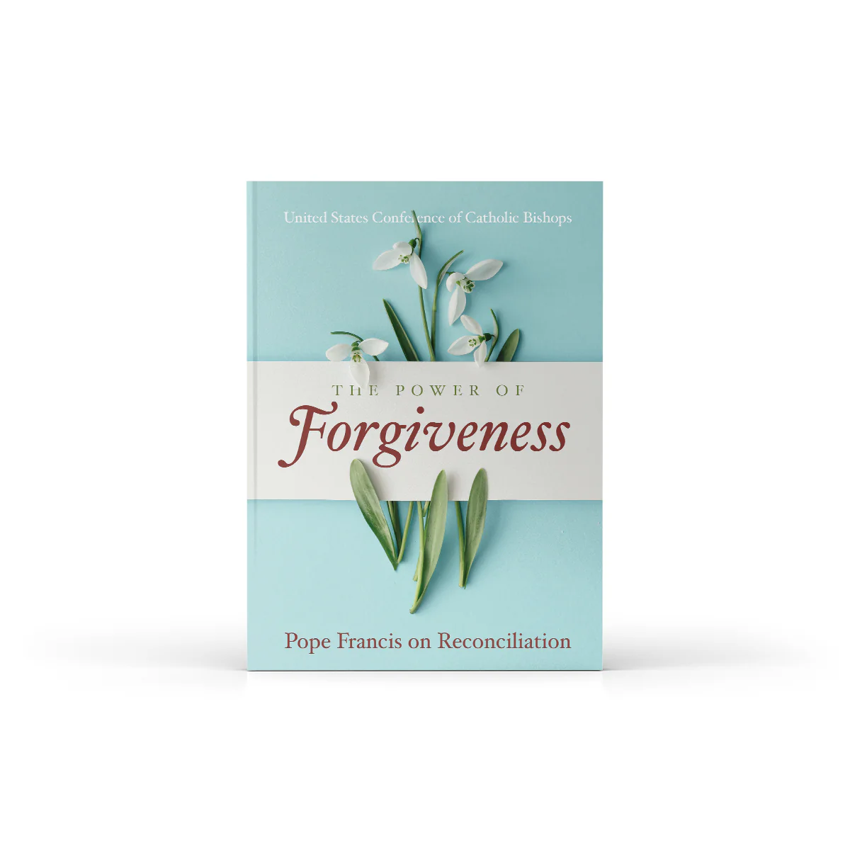 The Power of Forgiveness: Pope Francis on Reconciliation - Image 2