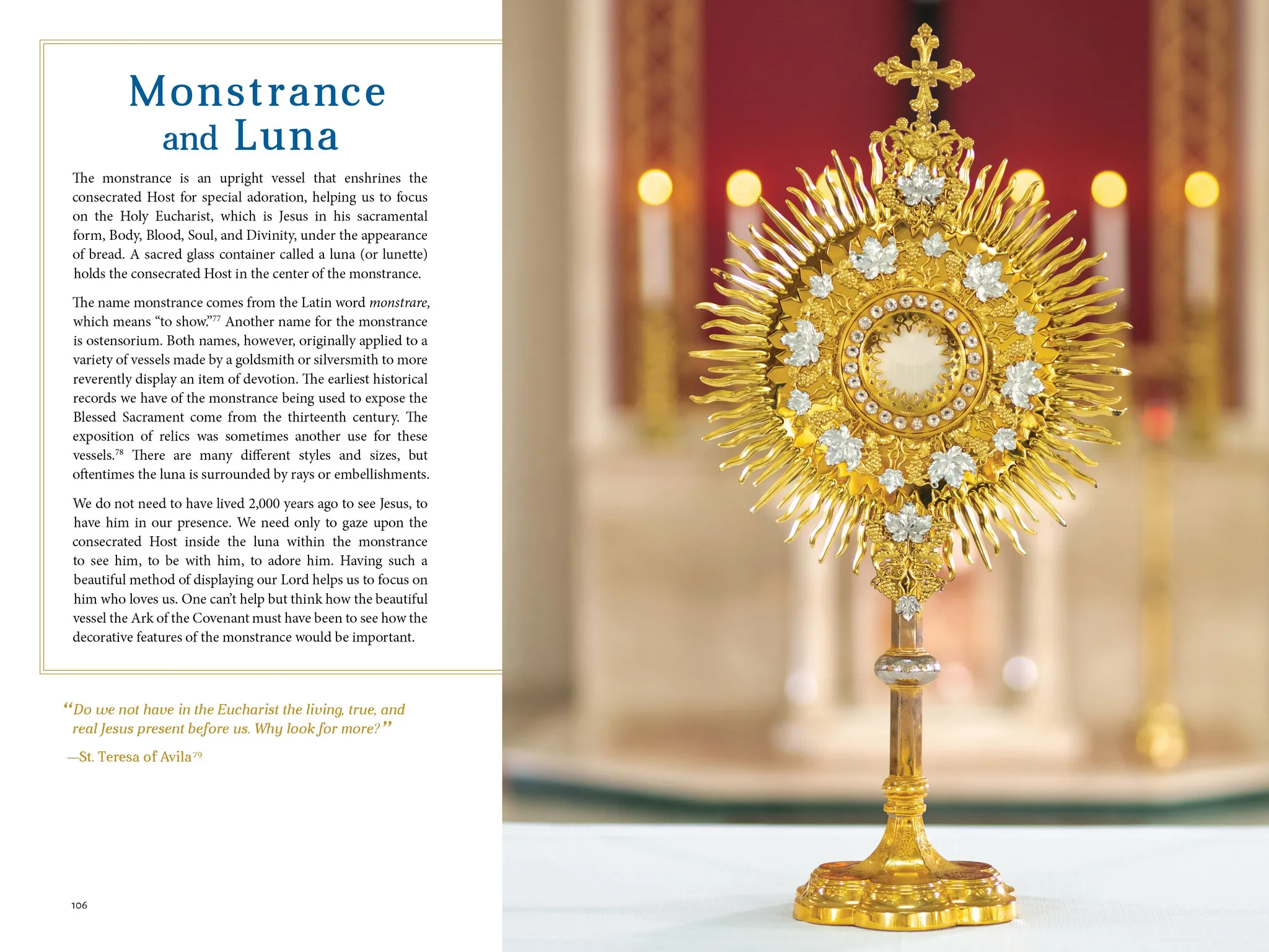 The Sacred That Surrounds Us: How Everything in a Catholic Church Points to Heaven - Image 4