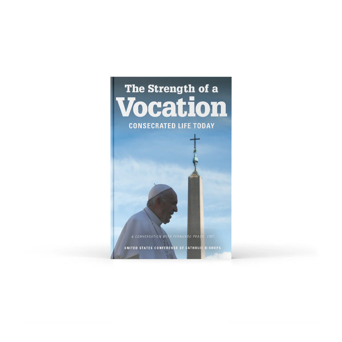 The Strength of a Vocation: Consecrated Life Today - Image 2