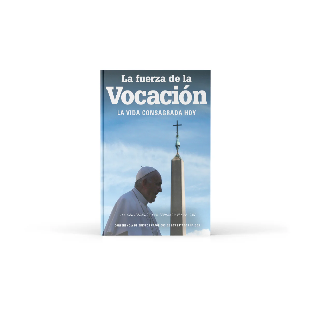 The Strength of a Vocation: Consecrated Life Today - Image 3