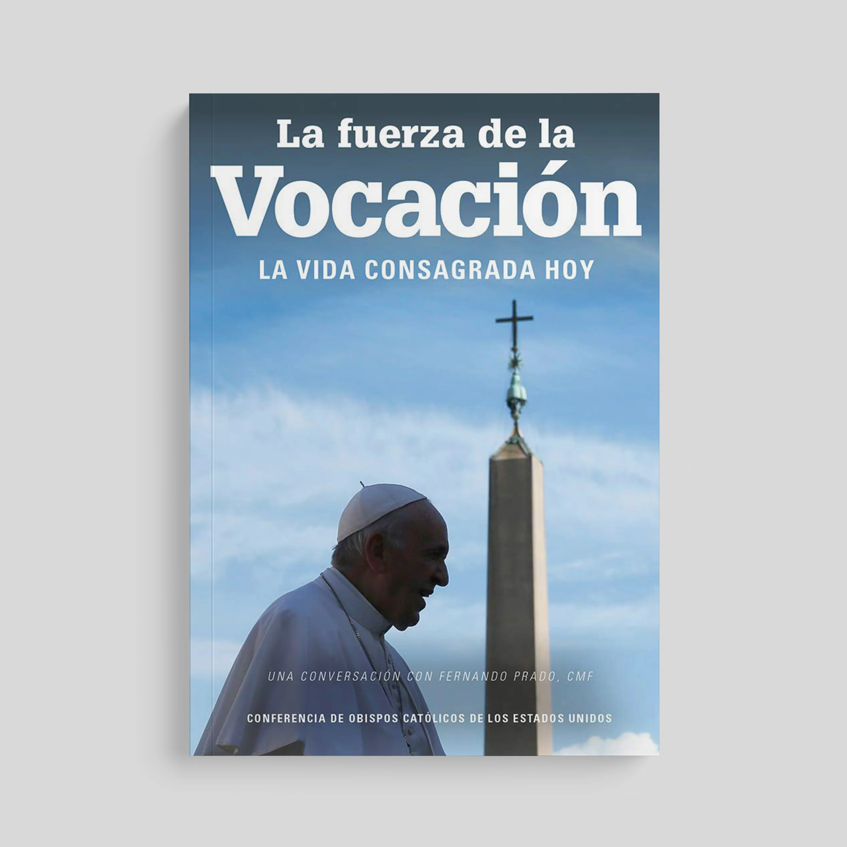 The Strength of a Vocation: Consecrated Life Today - Image 4