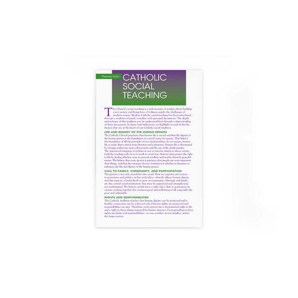 Themes from Social Catholic Teaching