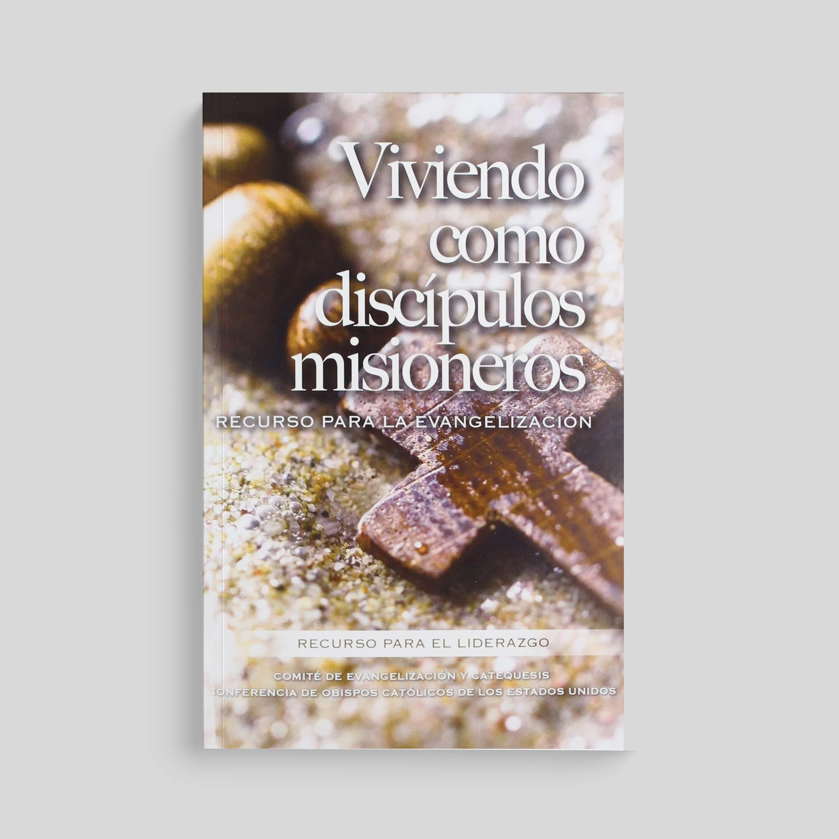 Living as Missionary Disciples: A Resource for Evangelization - Image 2