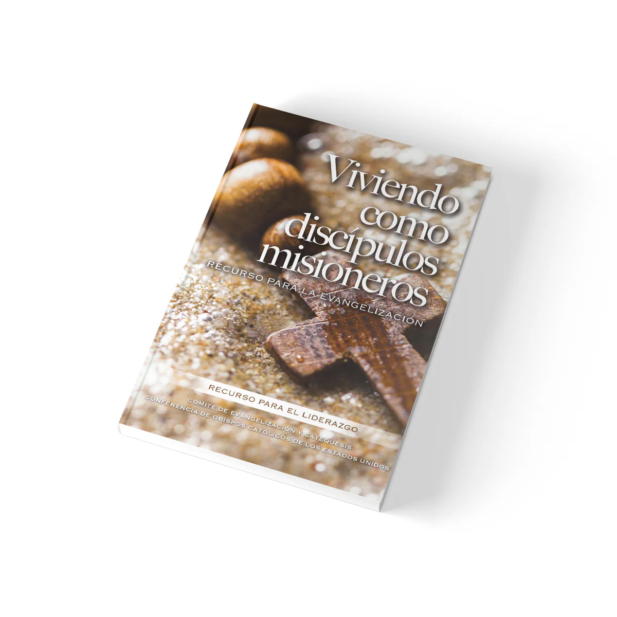 Living as Missionary Disciples: A Resource for Evangelization - Image 4