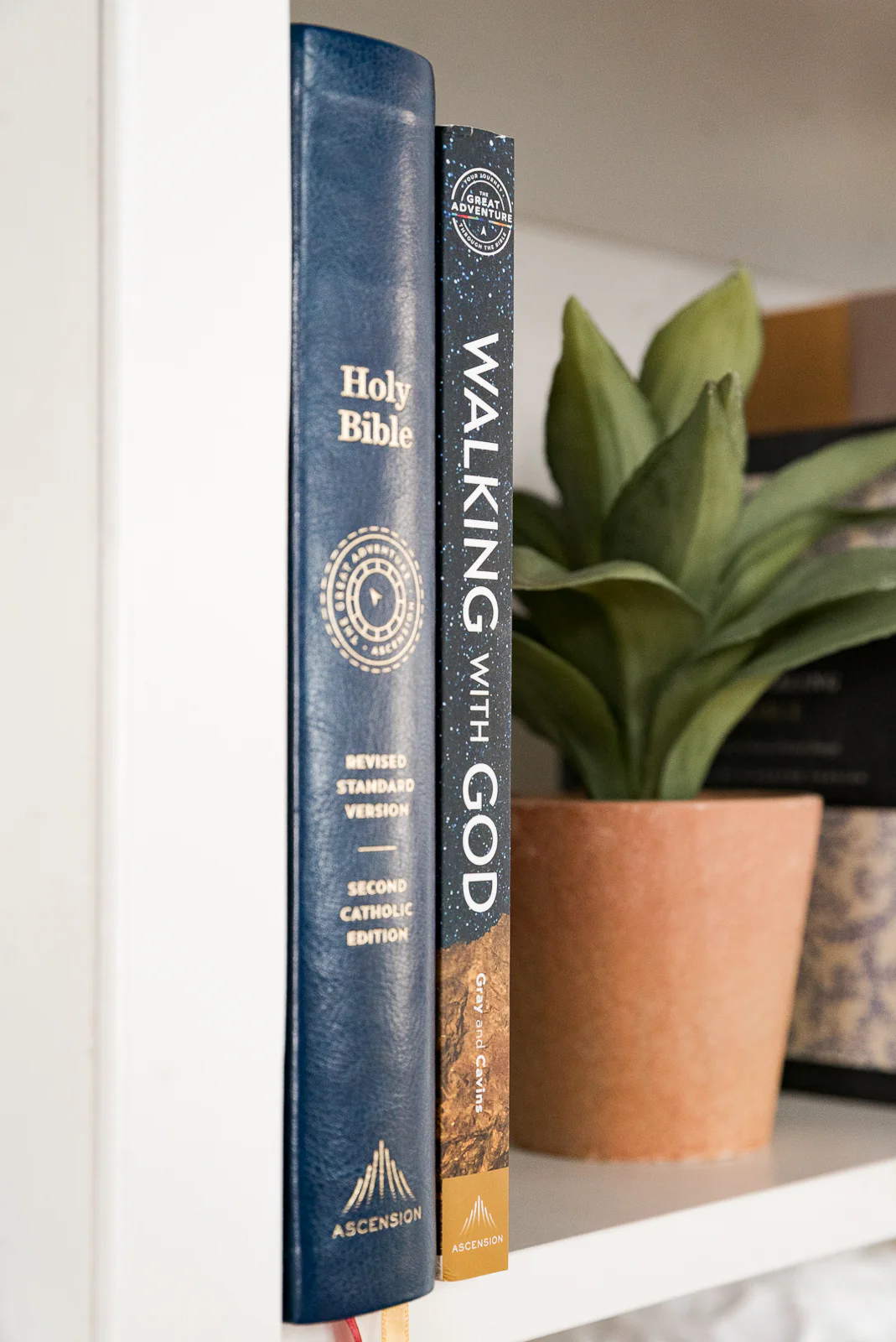 Walking With God: A Journey Through the Bible (2024 Edition) - Image 12