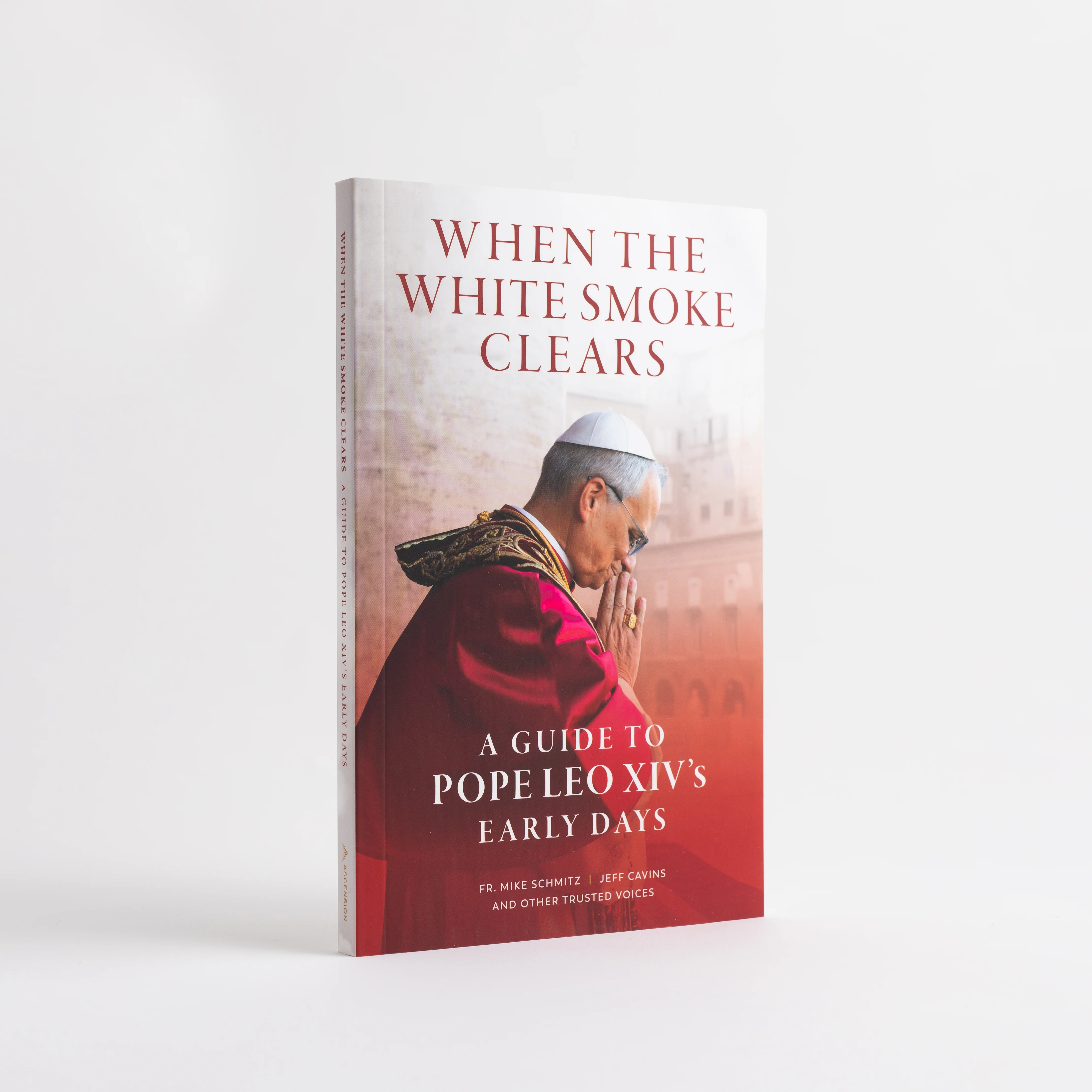 When the White Smoke Clears: A Guide to Pope Leo XIV's Early Days - Image 3
