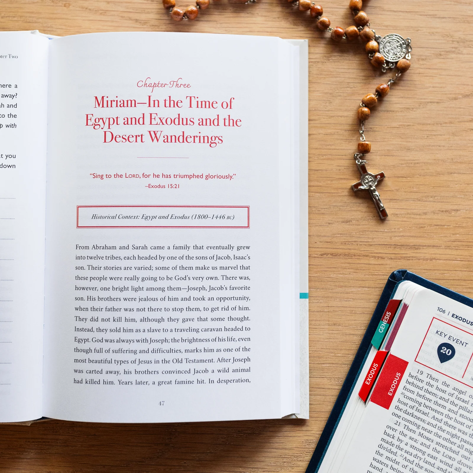 Whispers of Mary: What Twelve Old Testament Women Teach Us About Mary - Image 7