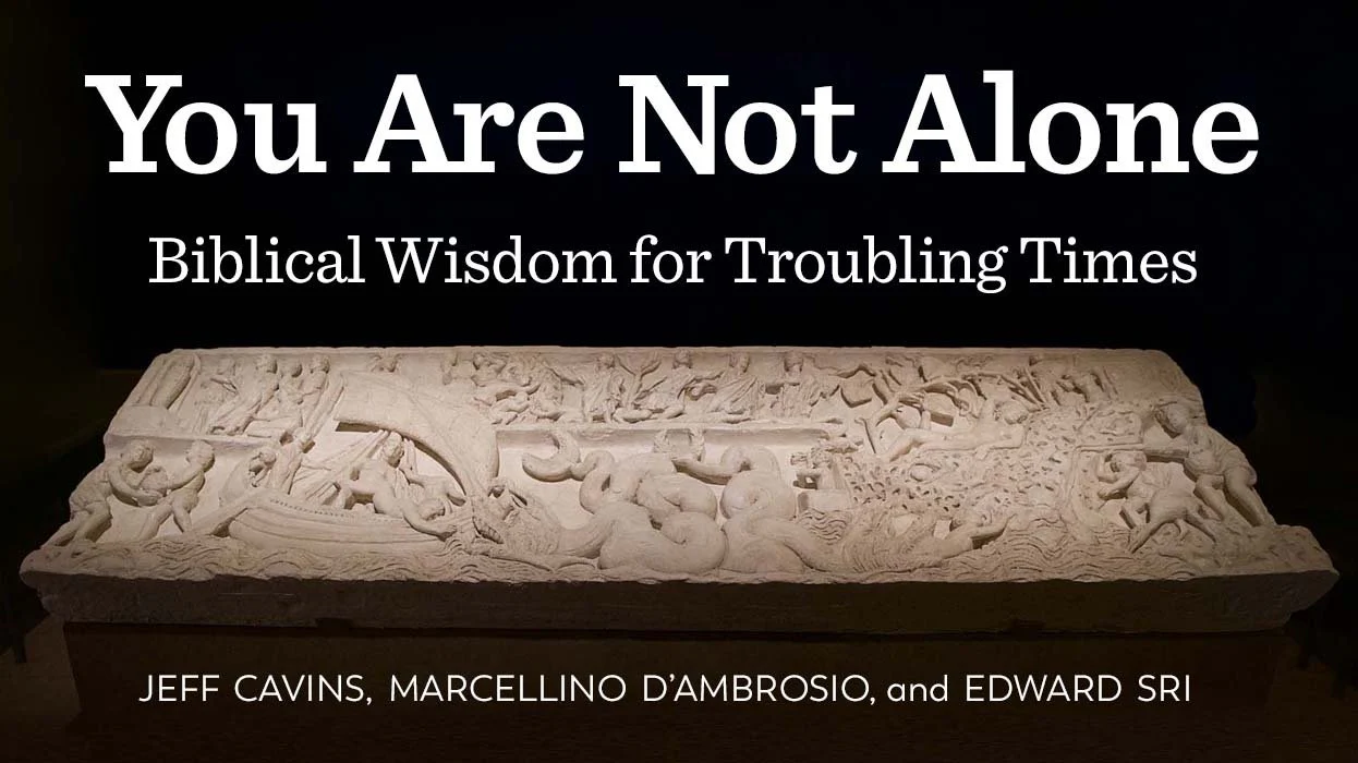 You Are Not Alone: Biblical Wisdom for Troubling Times - Image 4